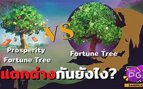 Prosperity Fortune Tree Indonesia Adalah Perusahaan Yang Bergerak