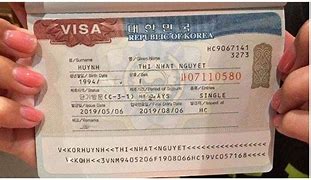 Visitor Visa Adalah Dan Contohnya